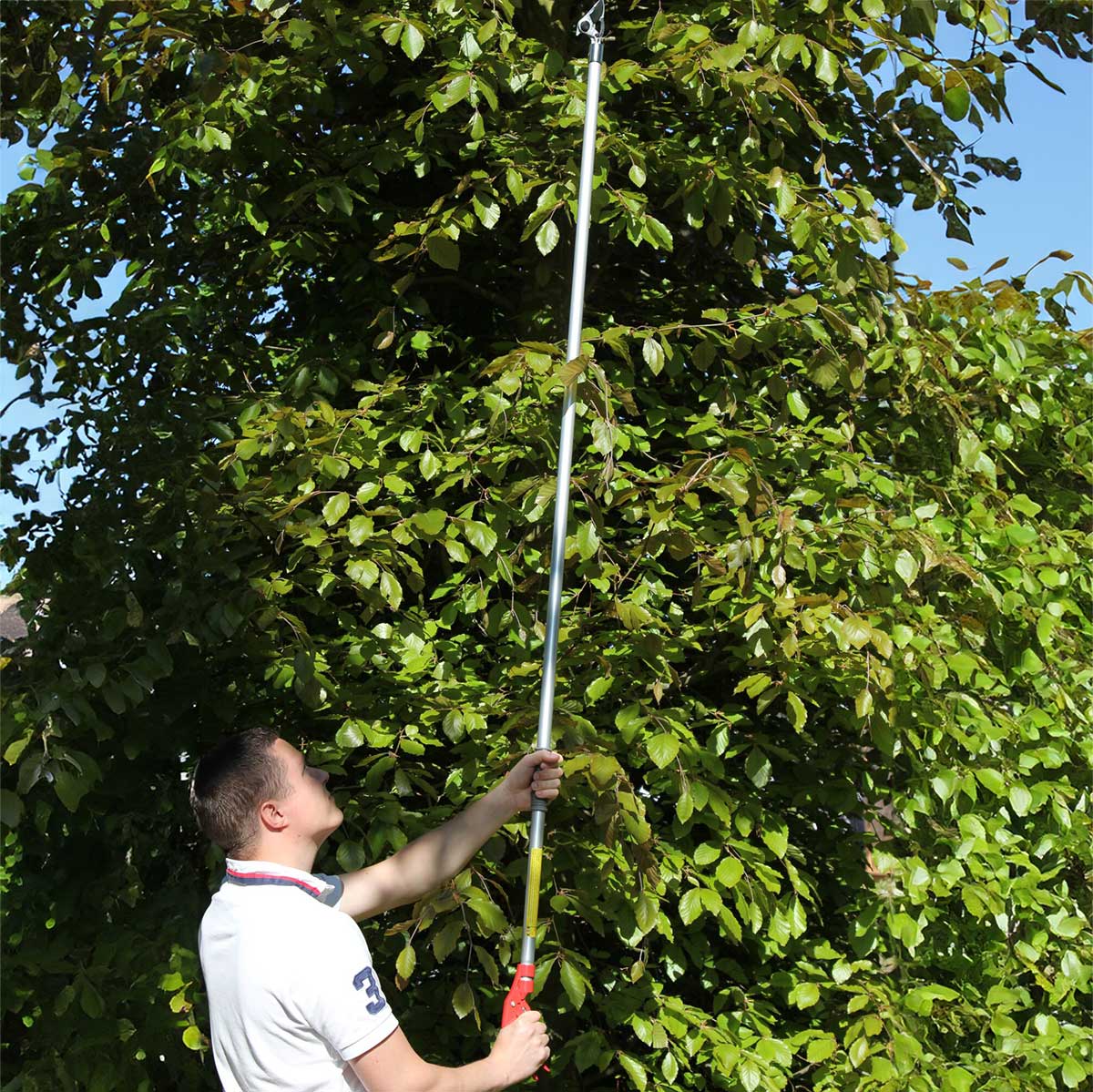 ARS LR Series 7' LongReach Heavy Duty Tree Pruner | 2 Pack