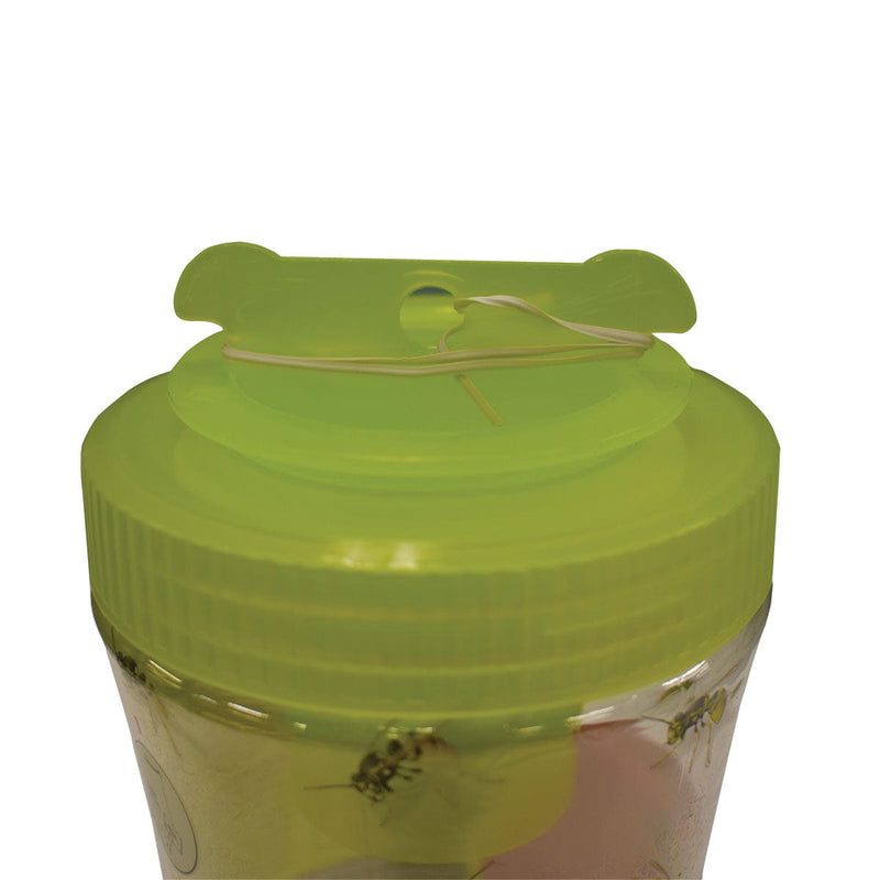 Catchmaster Jacket Jar Wasp, Yellow Jacket and Hornet Trap | 6 Pack