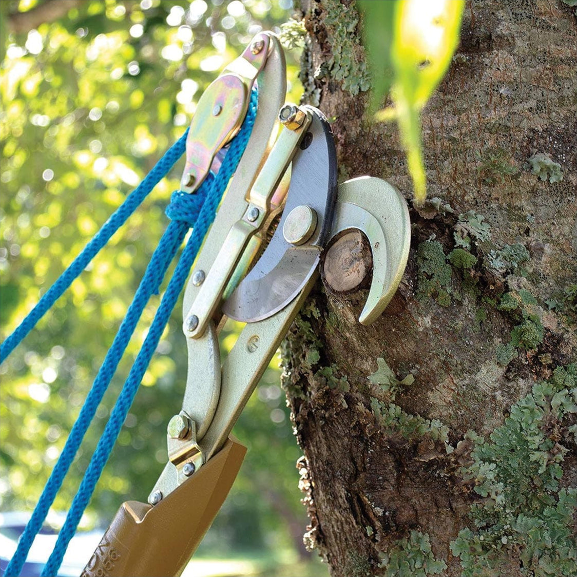 Jameson Double Pulley Big Mouth Pole Pruner hooked on cut tree branch.