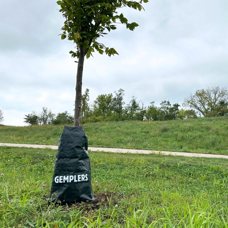 Gemplers Tree Watering Bags | 30 Pack