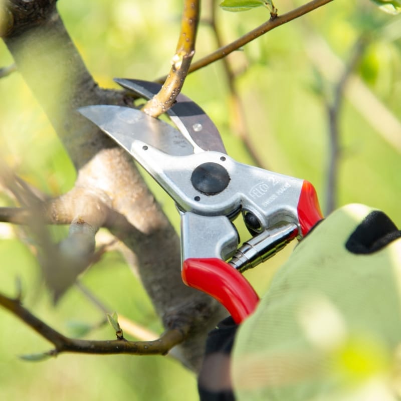 FELCO 2 Hand Pruner | 1" Cut Capacity