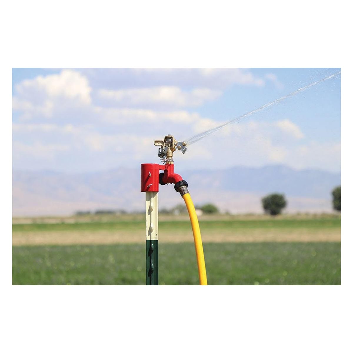 Sprinkler Innovations T-Post Brass Impact Sprinkler - Commercial Quality, 1/2" Thread
