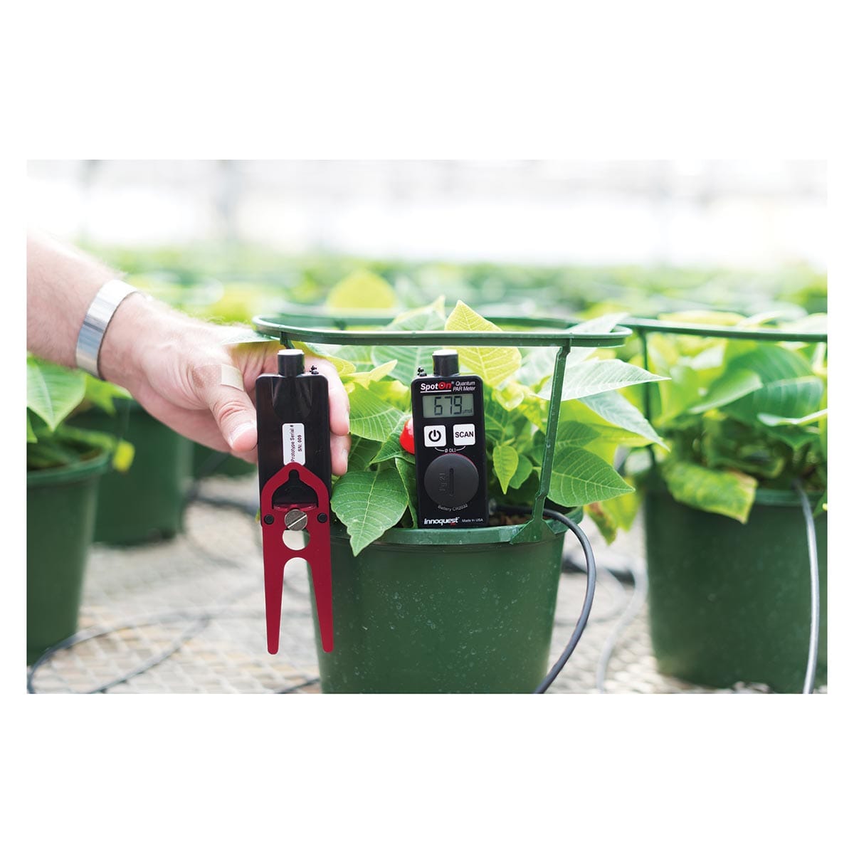 SpotOn Quantum PAR Light Meter being used in a potted plant in a greenhouse