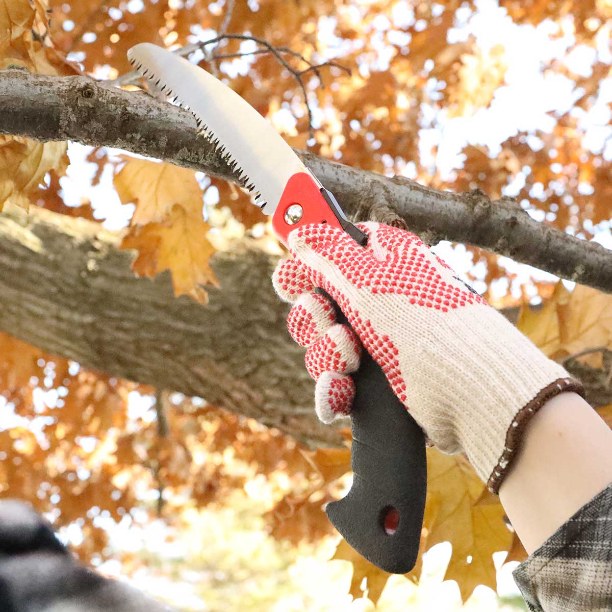 Gemplers Professional Folding Pruning Saw with 7” Blade In Use+++Gemplers Professional Folding Pruning Saw with 7” Blade In Use