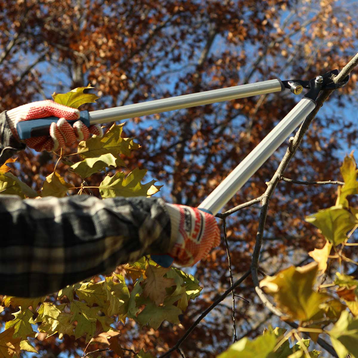 Gemplers 28" Crew Quality Lopper In Use+++Gemplers 28" Crew Quality Lopper In Use