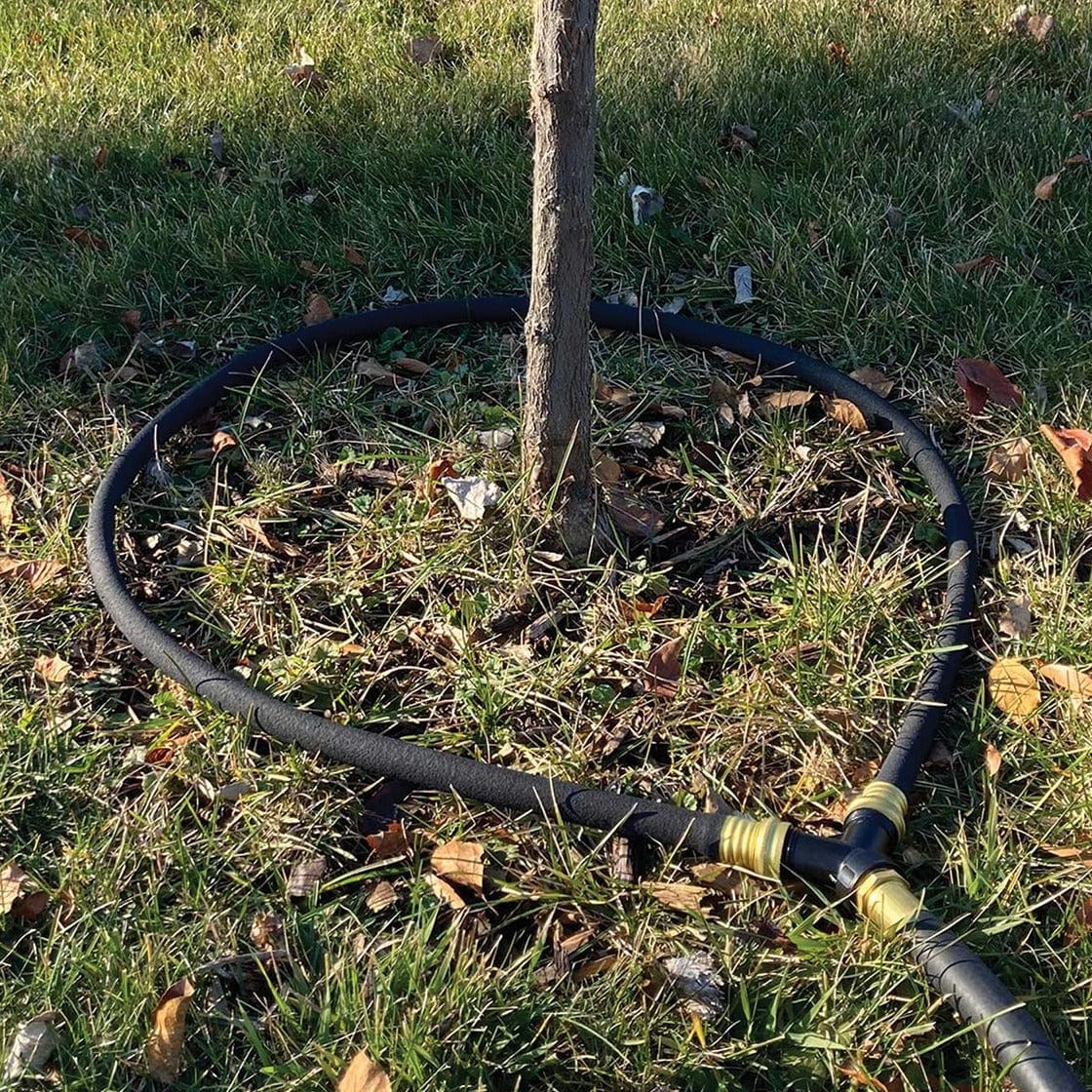 Black soaker hose ring laid around a young sapling and connected to a pro-grade hose.