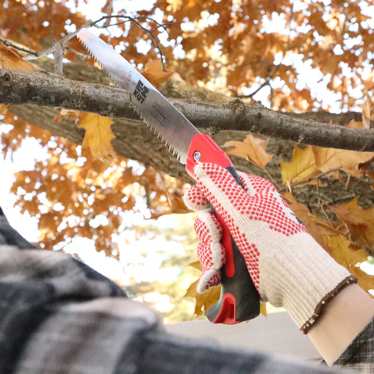 Gemplers Straight Blade Pruning Saw with 12" Blade In Use+++Gemplers Straight Blade Pruning Saw with 12" Blade In Use