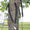 Gripple Tree Guying Kit for 8' Tree (5" Girth)