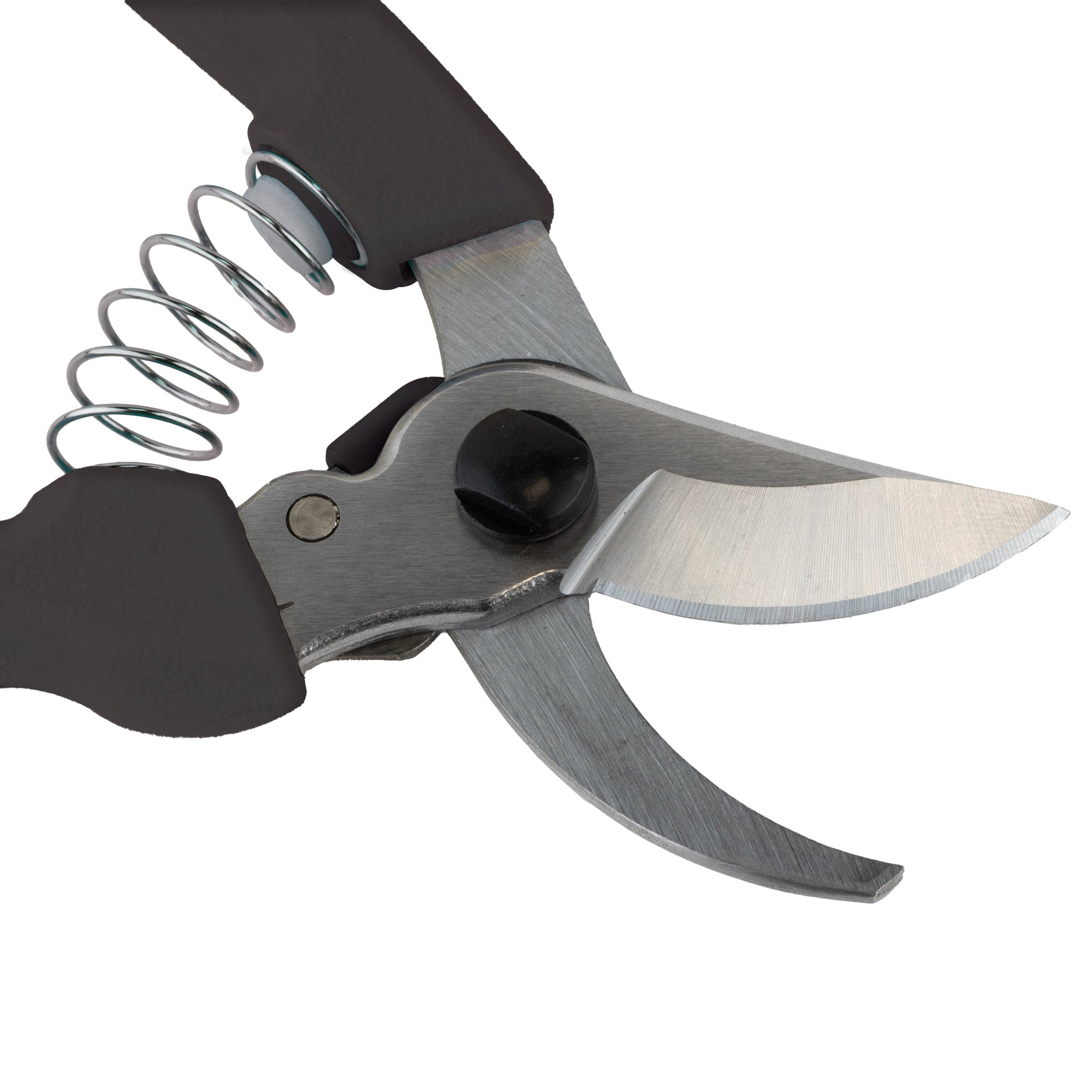 Closeup of Gemplers Lightweight Bypass Pruner