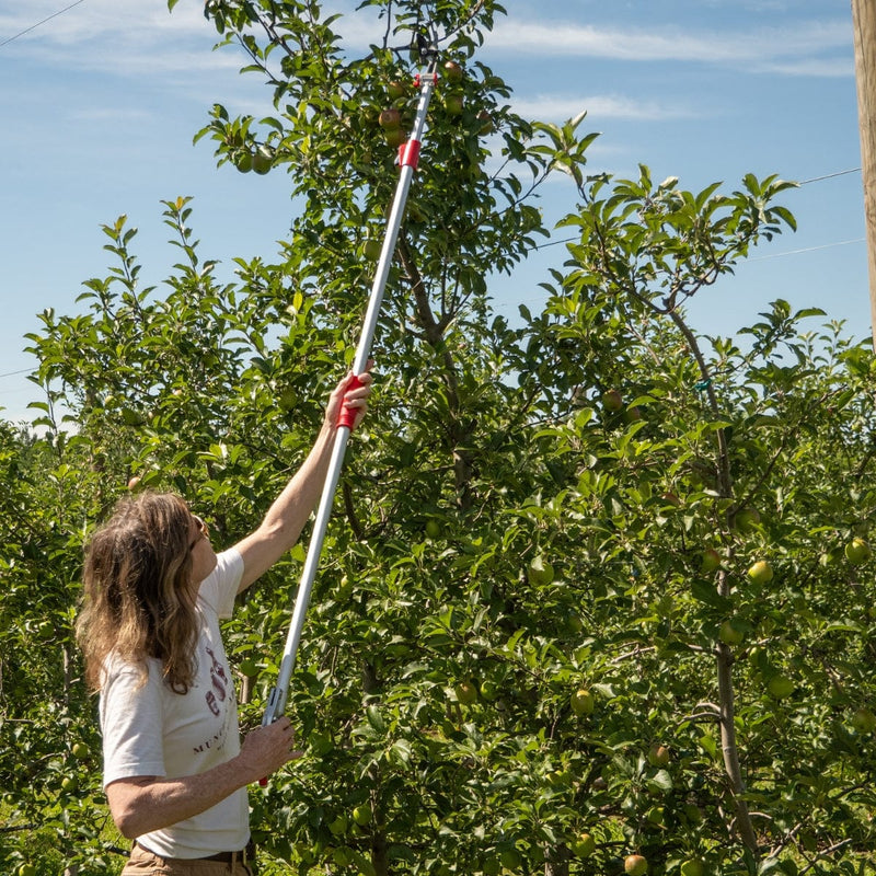 Gemplers Telescoping Long-Reach Bypass Pruner