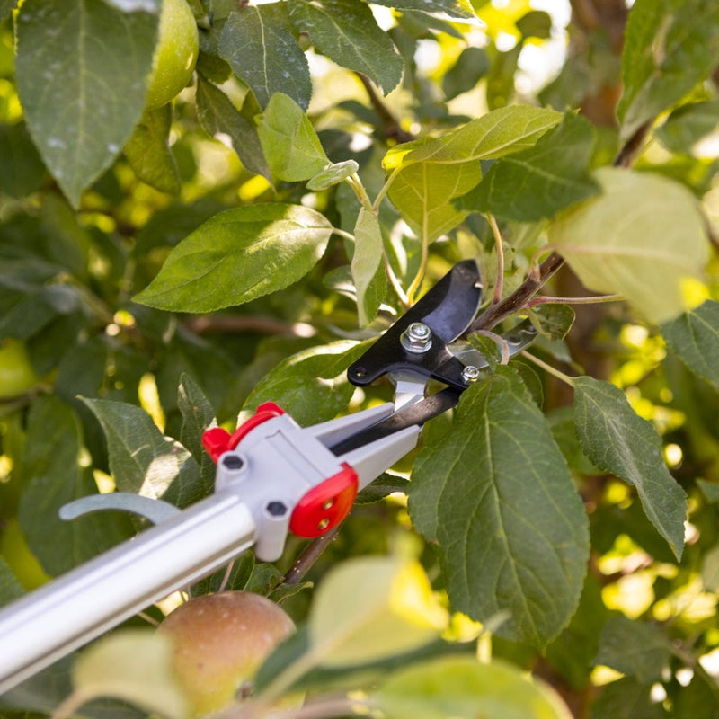 Gemplers Telescoping Long-Reach Bypass Pruner