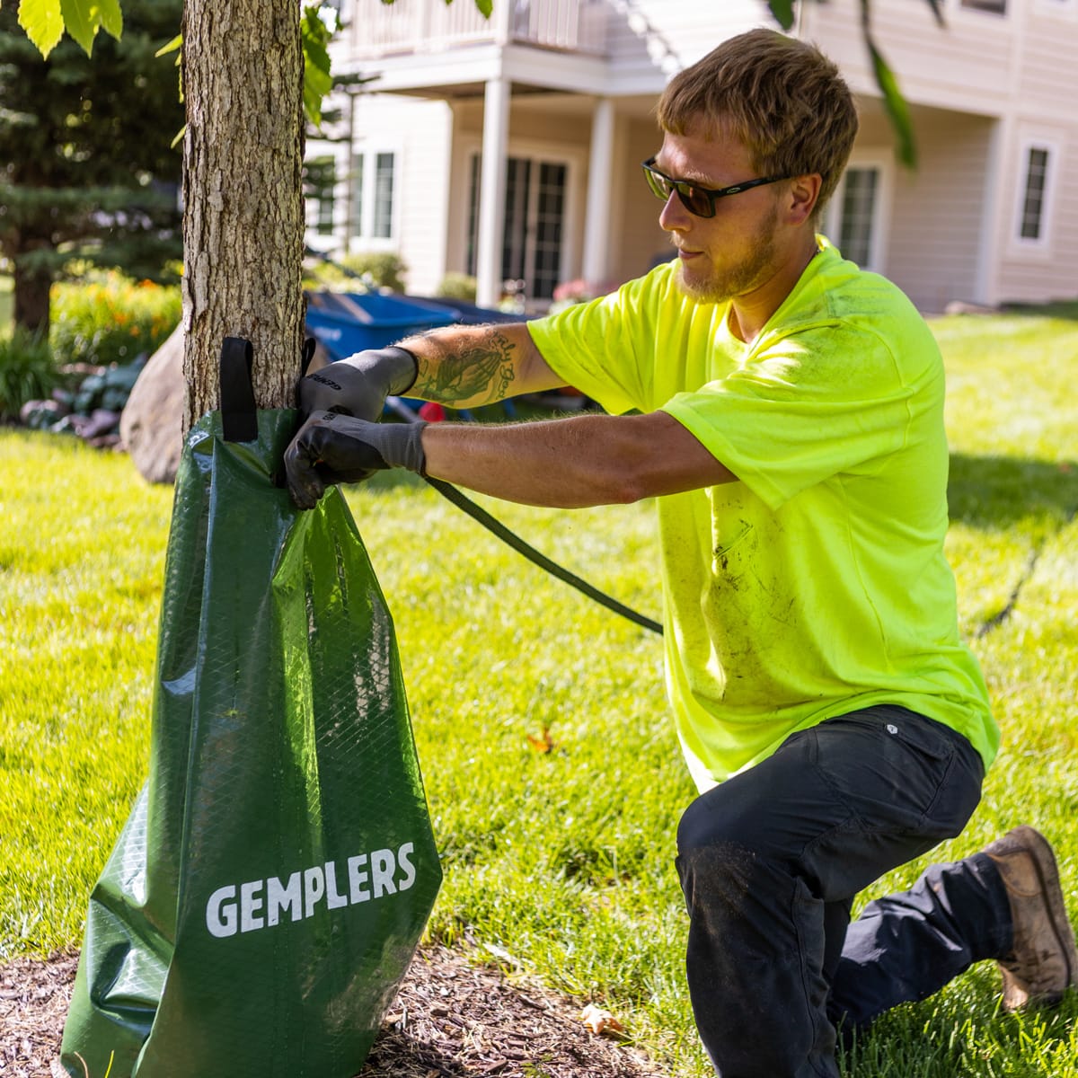 Gemplers Deluxe Ripstop Tree Watering Bag