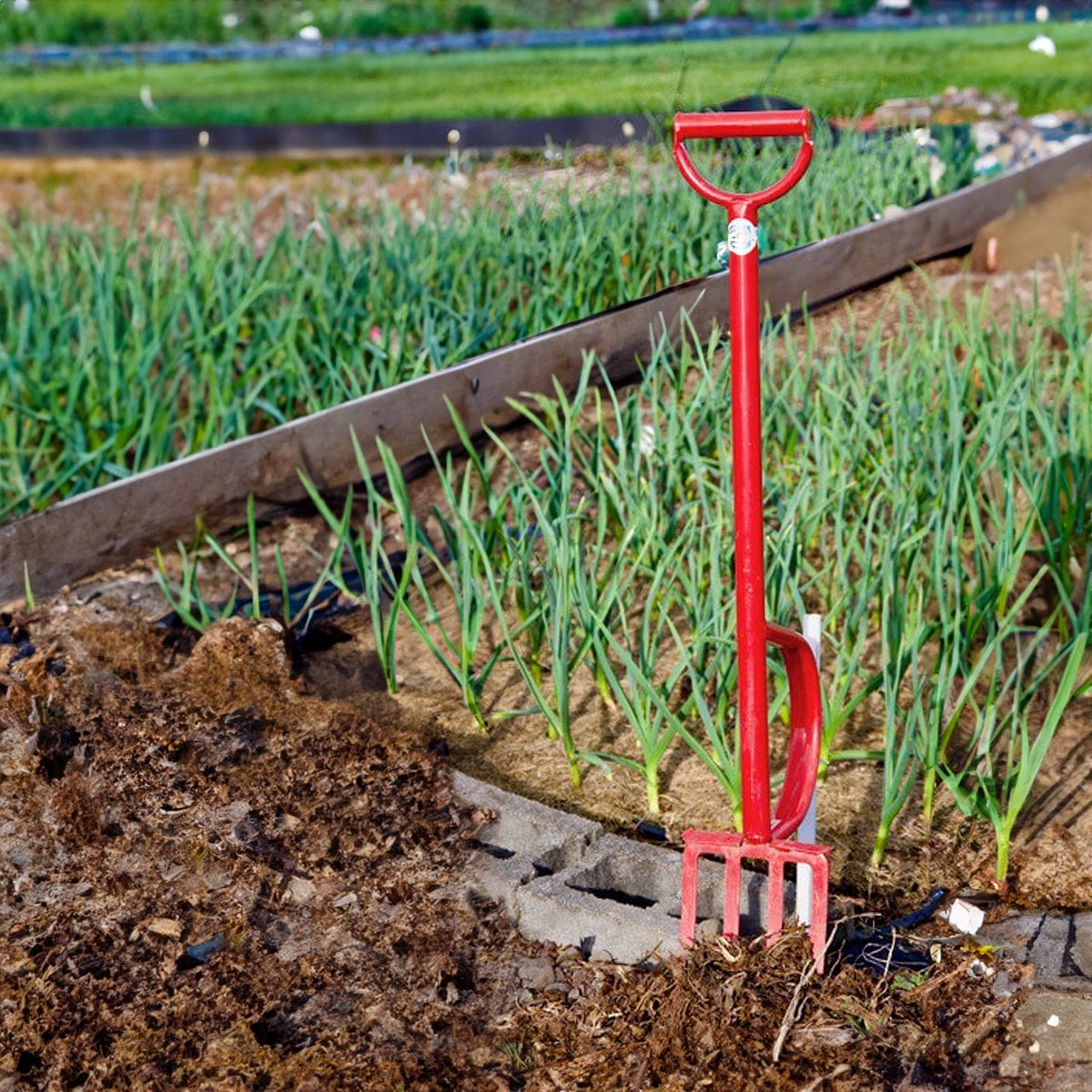 The EarthLifter Tool