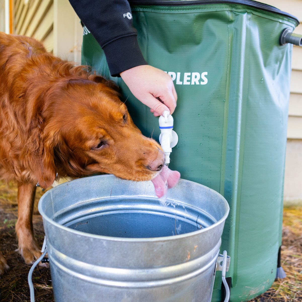 Gemplers Collapsible 50 Gallon Rainwater Bucket