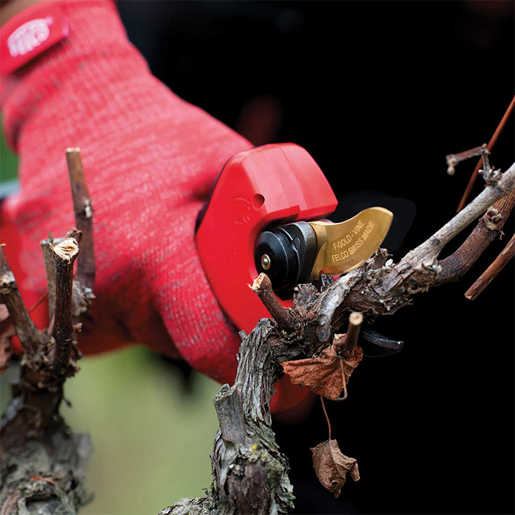 FELCO 834V Cordless Vineyard Pruning Kit