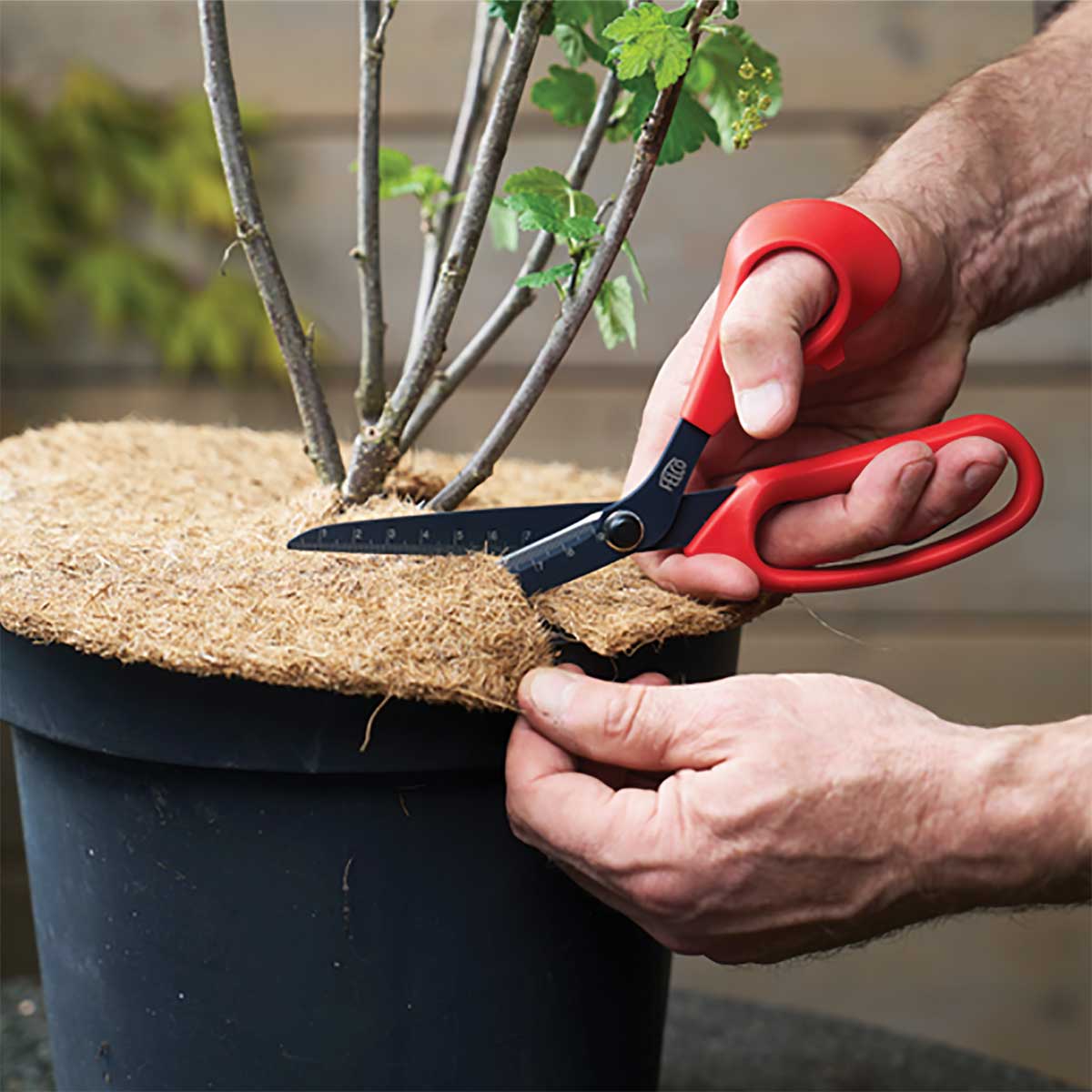 FELCO 455 Floral 9" All-Purpose Scissors