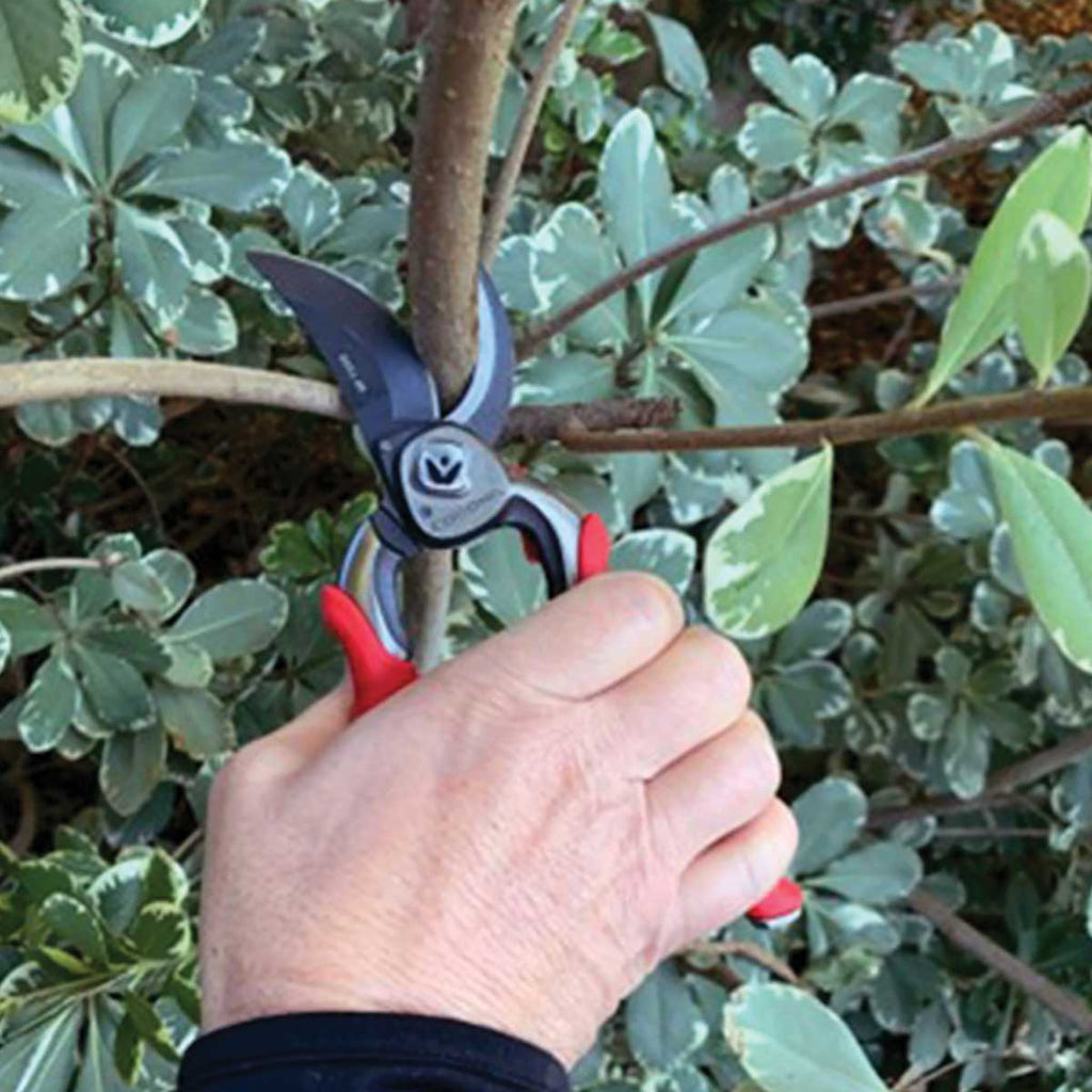 Corona ProCUT Bypass Pruner