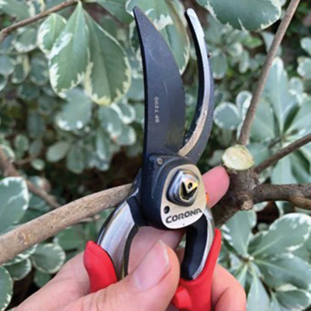 Corona ProCUT Bypass Pruner