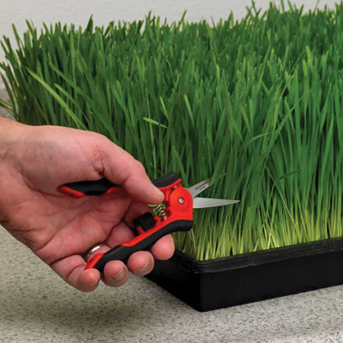Corona Hydroponic Micro Snips with 2.25 in. Blade
