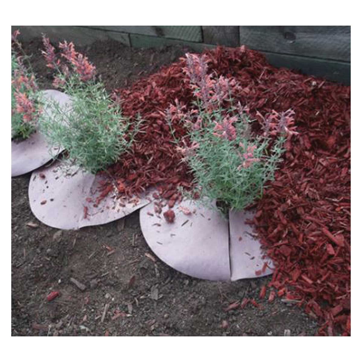WeedGuard Heavy Weight 18" OD Circles