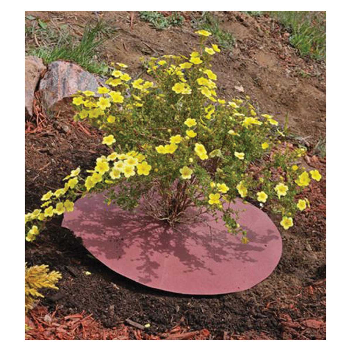 WeedGuard Heavy Weight 18" OD Circles