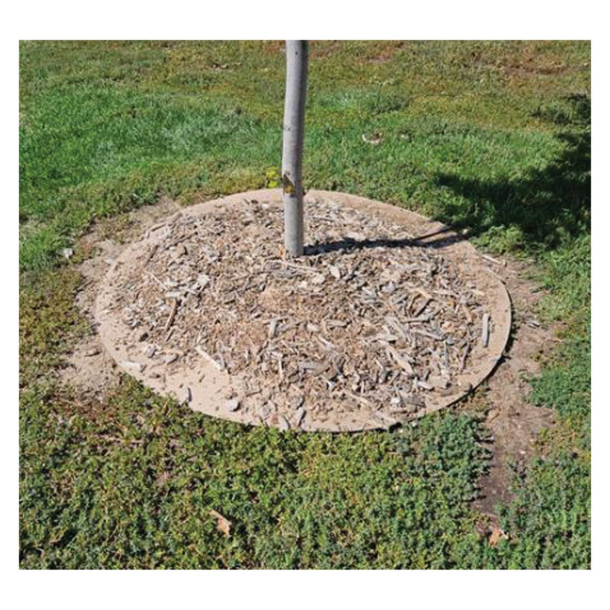 TreeGuard .038 Extra Heavy Weight Circles