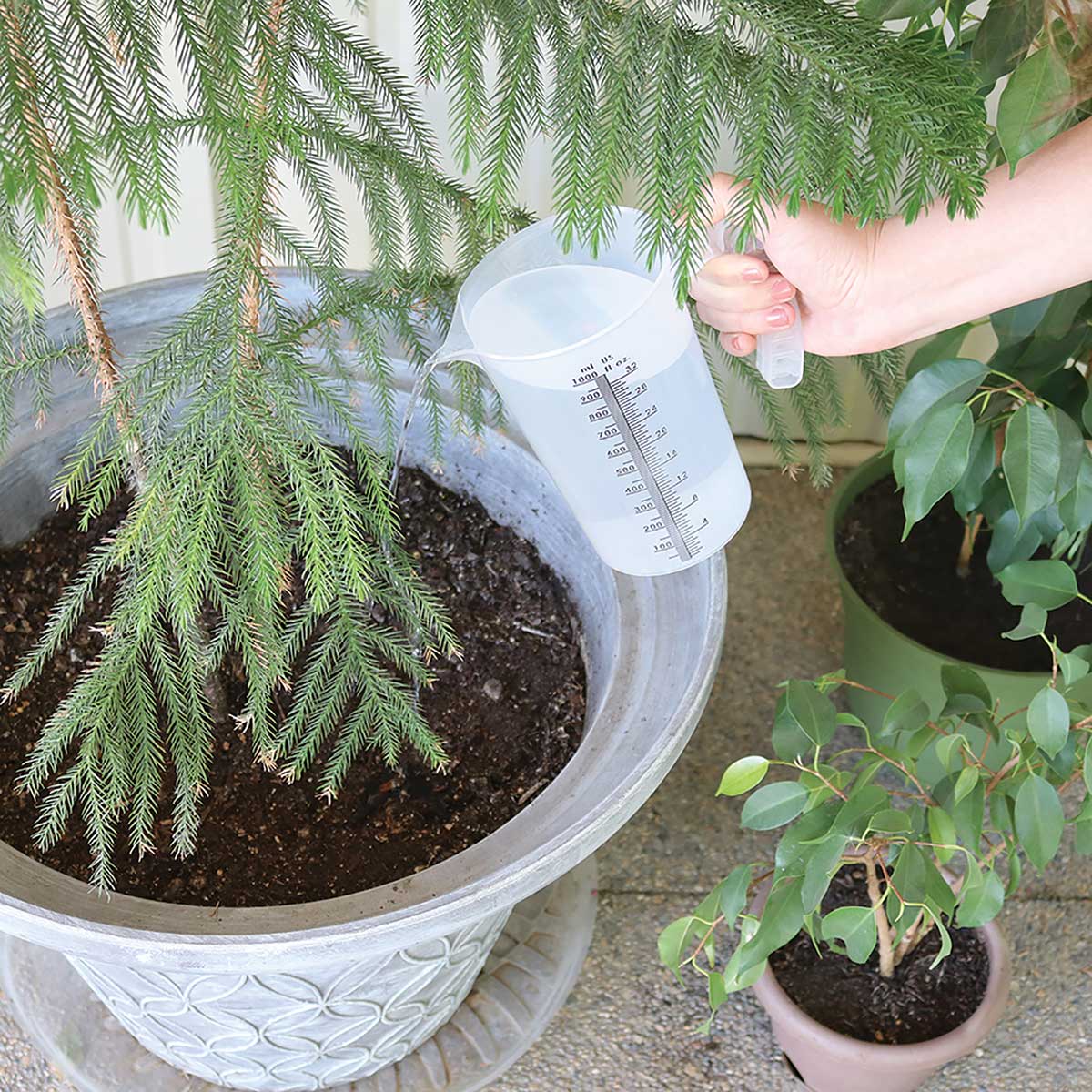 Valley Industries Multi-Purpose Measuring Pitcher