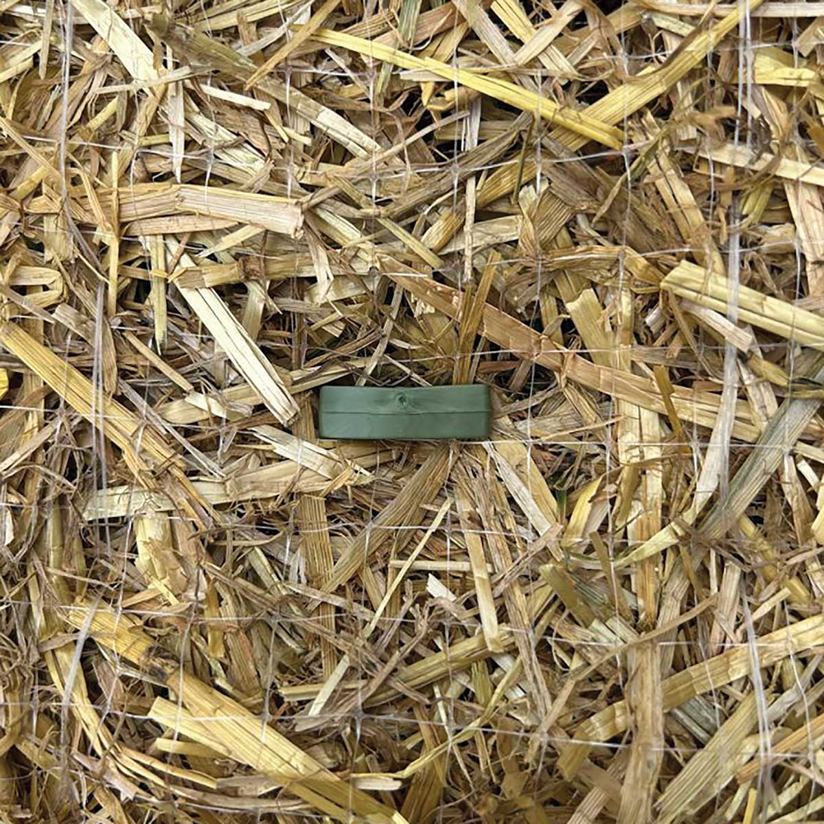 GreenStake 4" Biodegradable Stakes | 500 Count