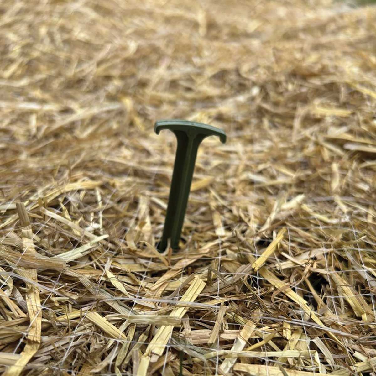GreenStake 6" Biodegradable Stakes | 500 Count