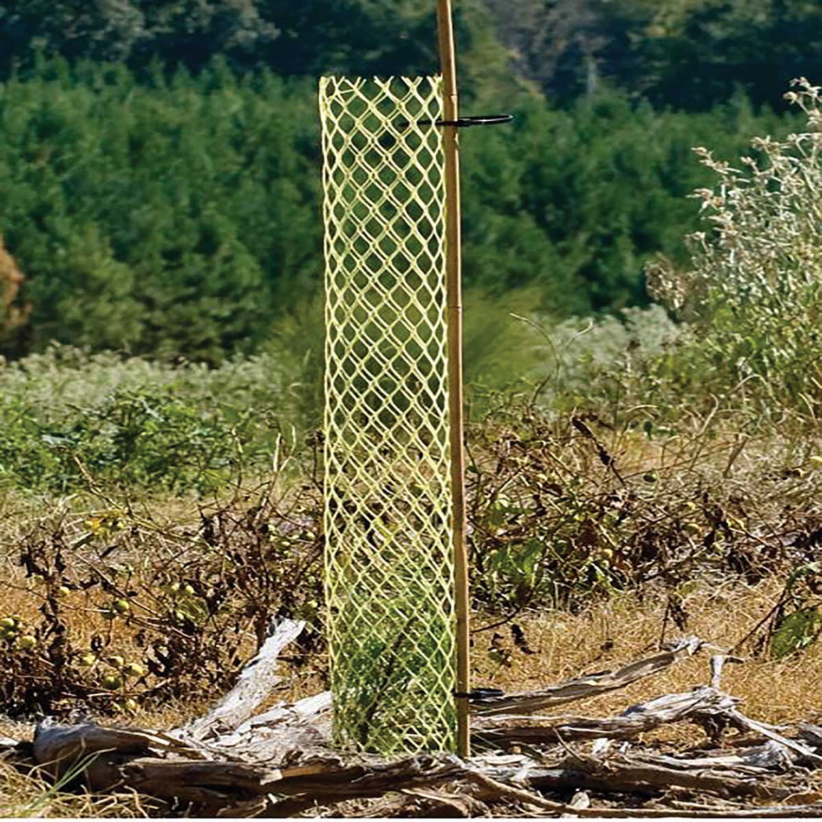 Rigid Seedling Protector Tubes | Gemplers