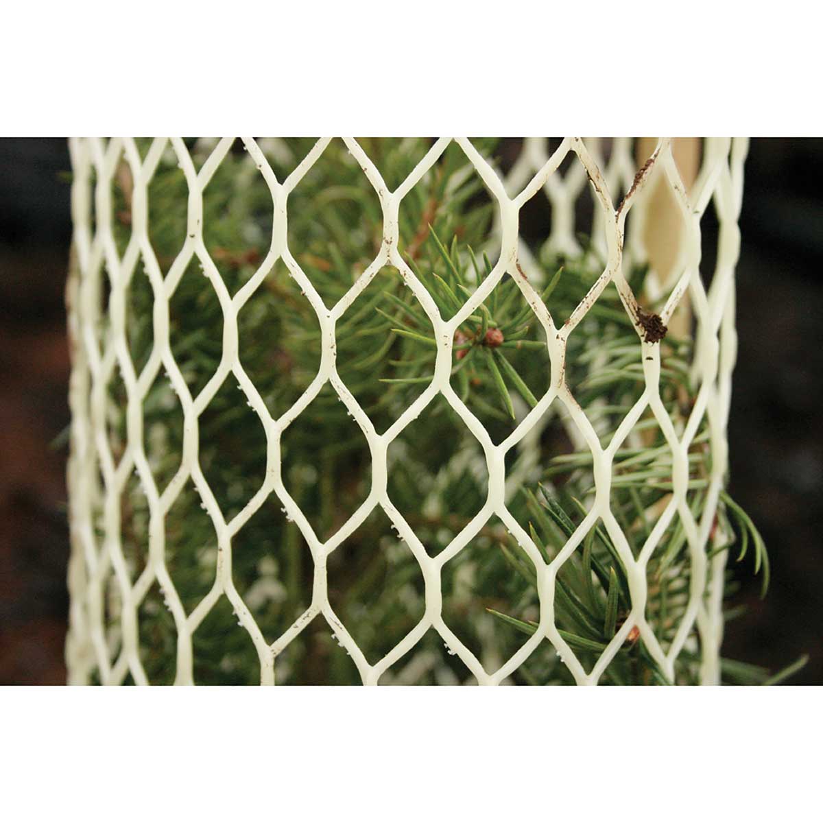 Rigid Seedling Protector Tubes