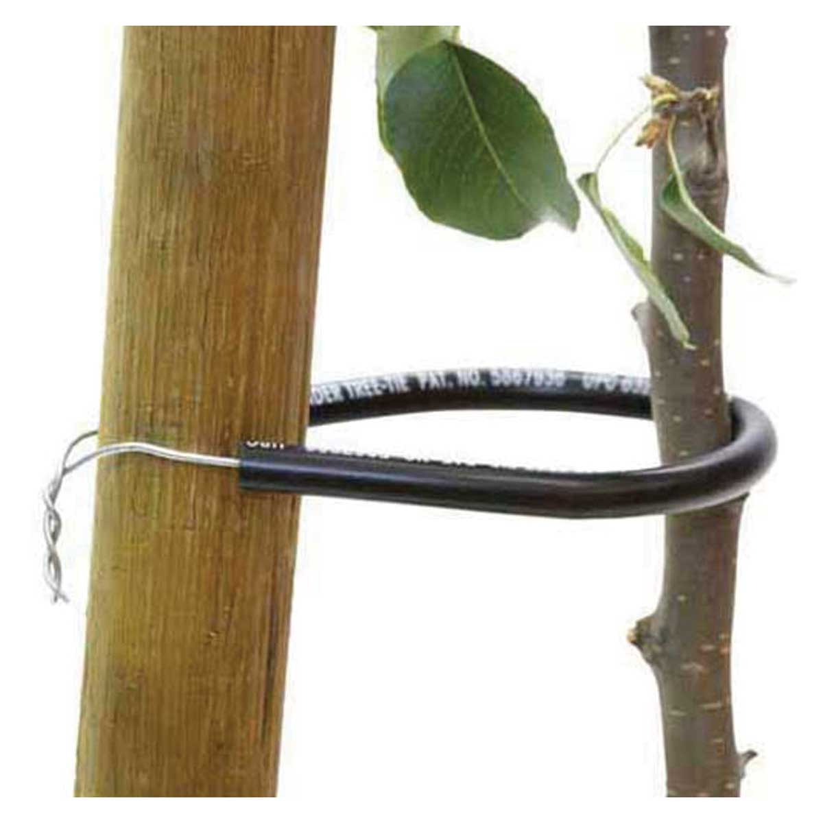 Wonder Tree Ties