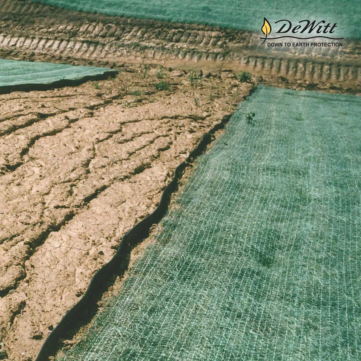 DeWitt Single Net Erosion Control Blanket | 4' x 112.5'