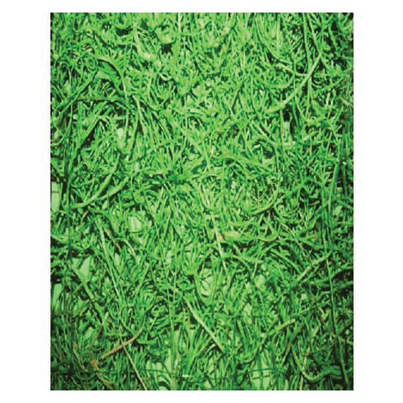 DeWitt FiberGuard 200 Seed Germination and Erosion Control | 4' x 50'