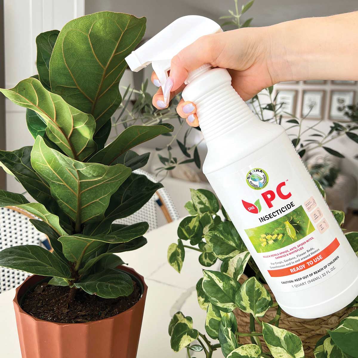 Sierra Natural Science PC Ready to Use Insecticide