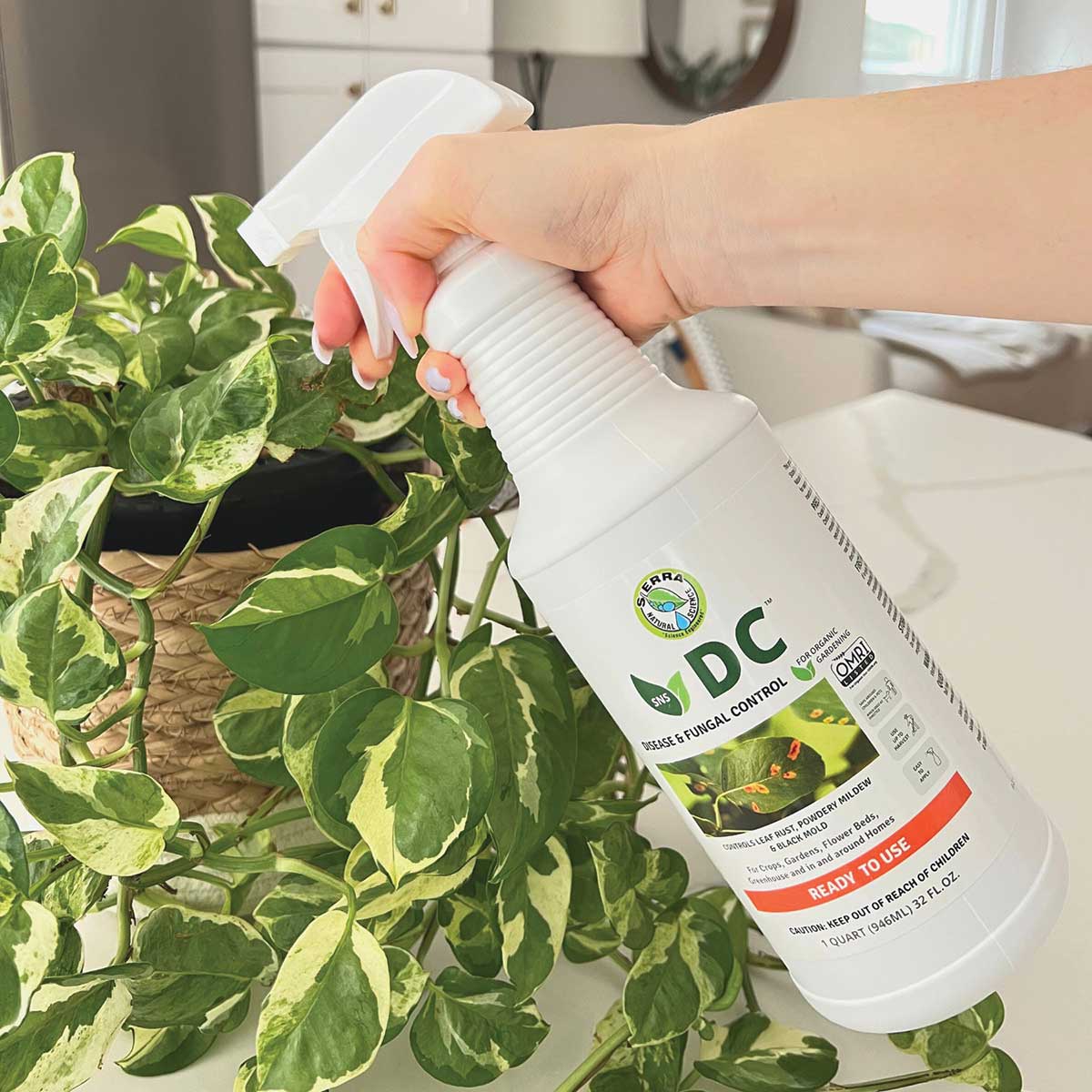 Sierra Natural Science DC Ready to Use Disease & Fungal Control 32 oz