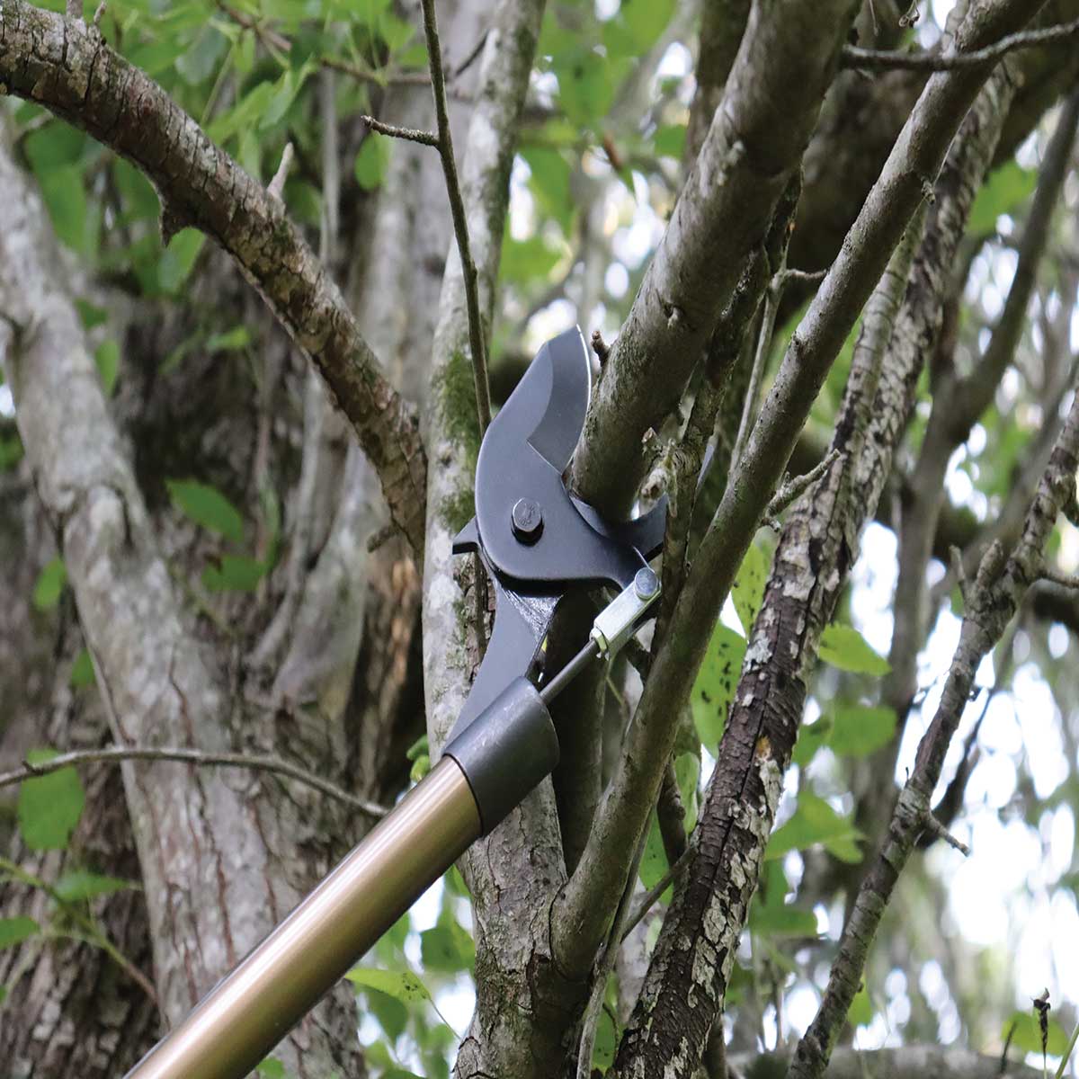 GrowTech® TAKAI® Long Reach Loppers