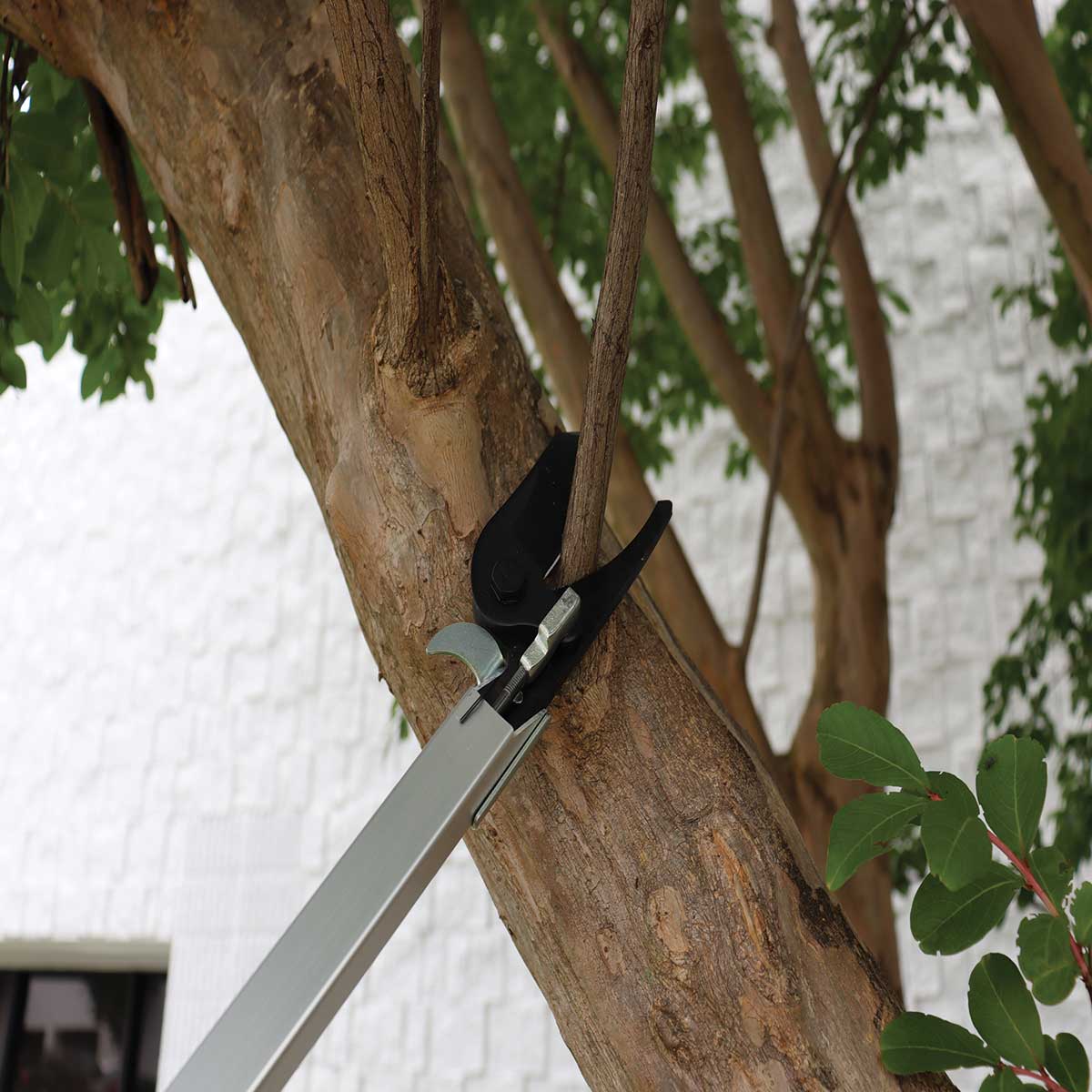 GrowTech® KNOX Rugged Long Reach Pruners