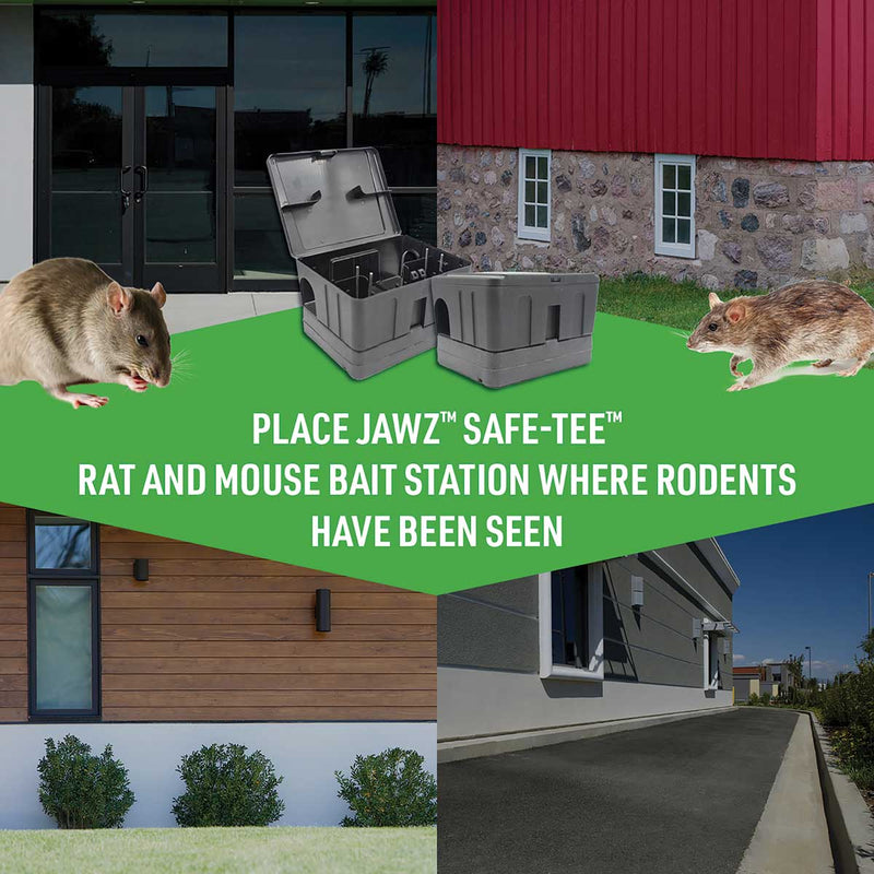 Jawz™ Safe-Tee™ Rat and Mouse Bait Station with Weighted Bottom