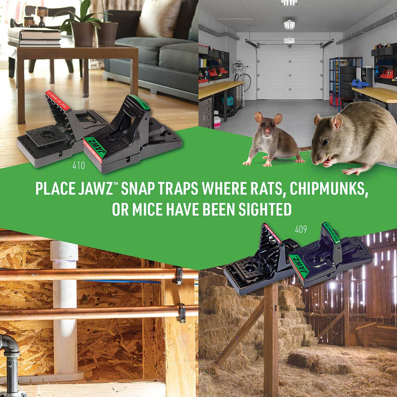 JAWZ™ Plastic Mouse Traps | 6 Pack