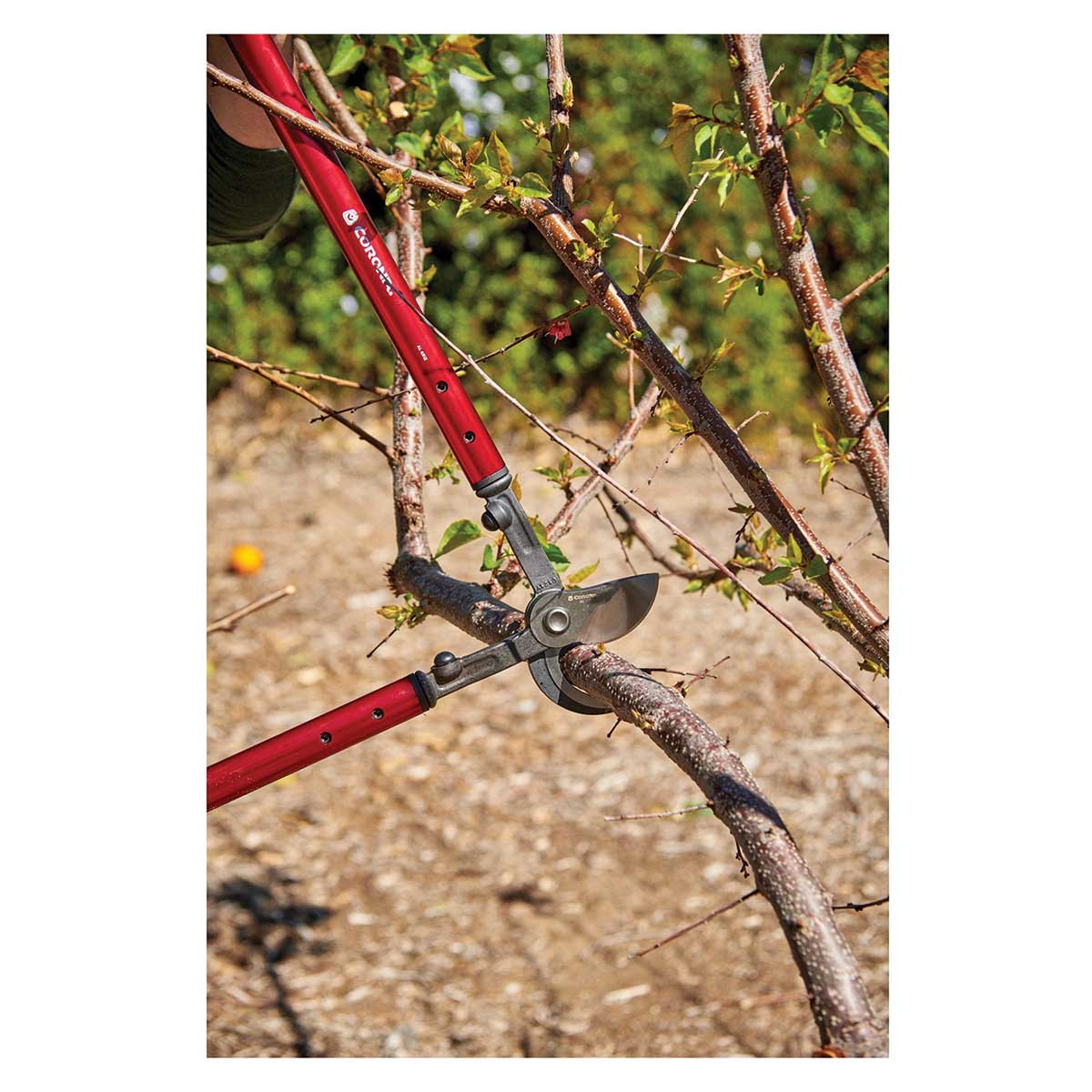 Corona 26" High-Torque Bypass Lopper