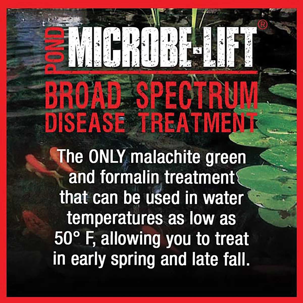MICROBE-LIFT® Broad Spectrum Disease Treatment | 32oz