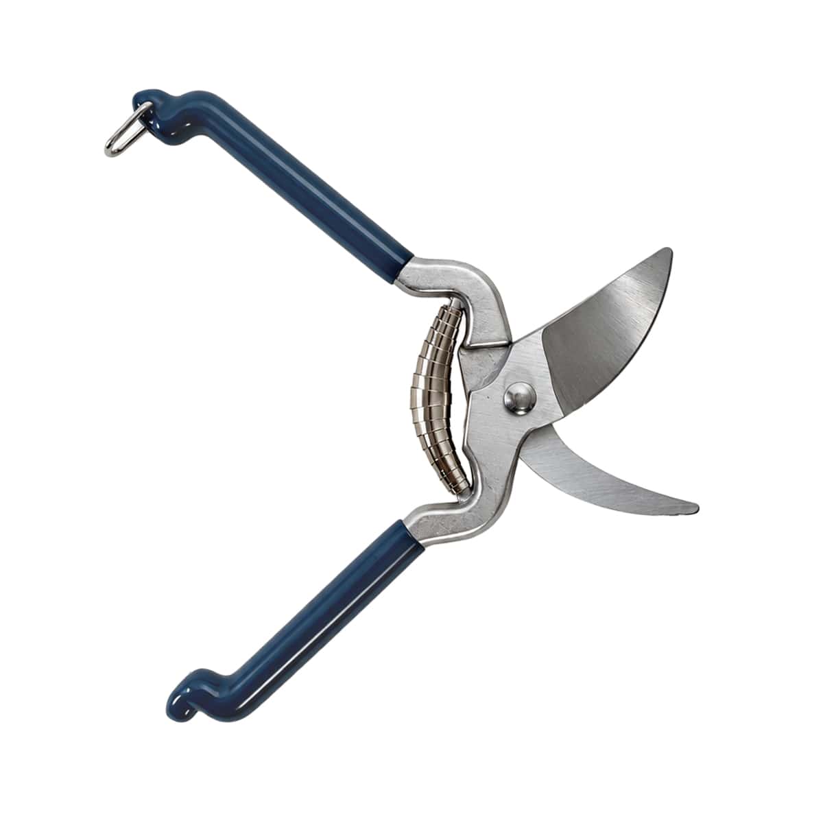A pair of pruning shears with blue handles and silver metal blades, shown against a plain white background.
