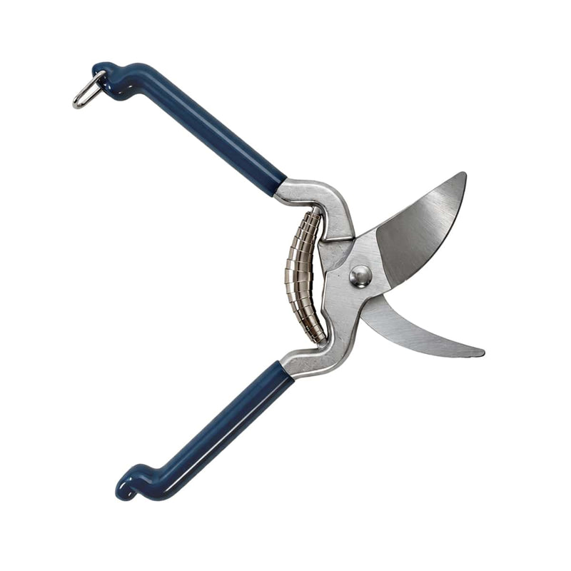 A pair of pruning shears with blue handles and silver metal blades, shown against a plain white background.
