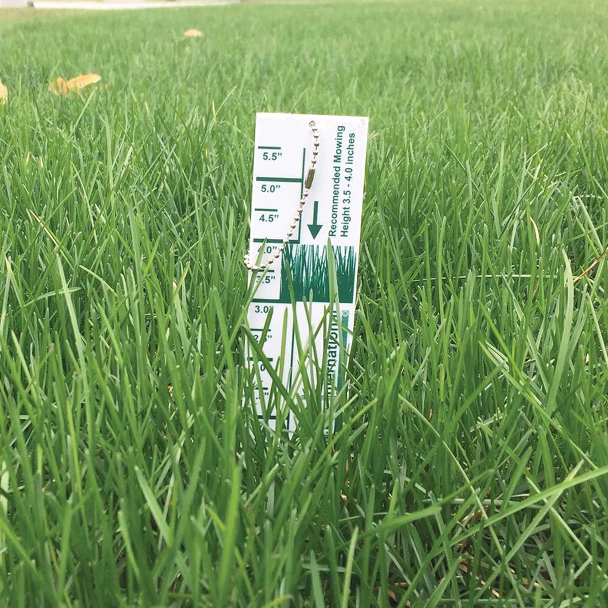Turf-Tec Grass Lawn Height Cut Gauge