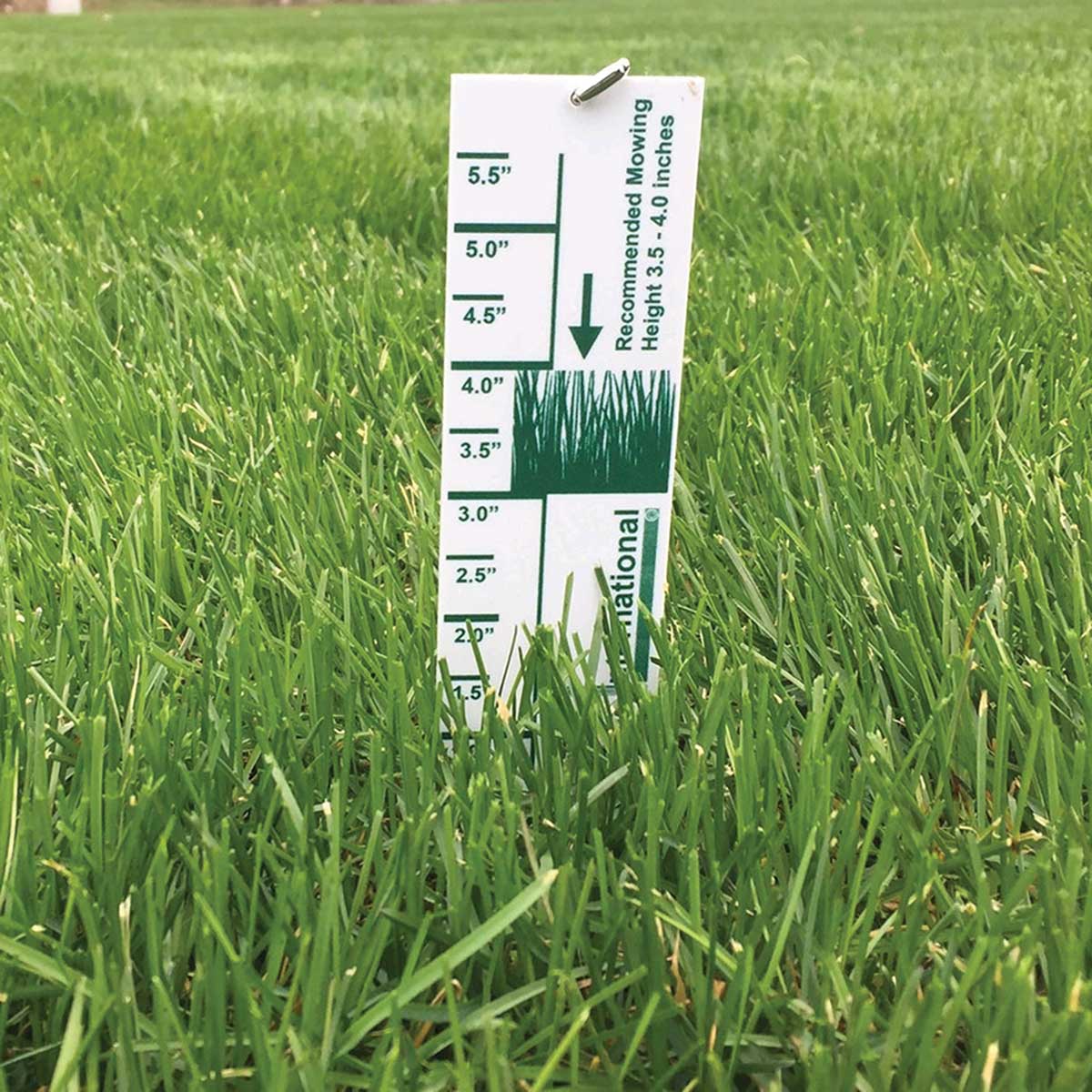 Turf-Tec Grass Lawn Height Cut Gauge