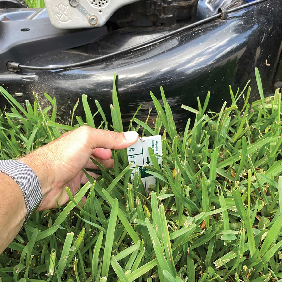 Turf-Tec Grass Lawn Height Cut Gauge