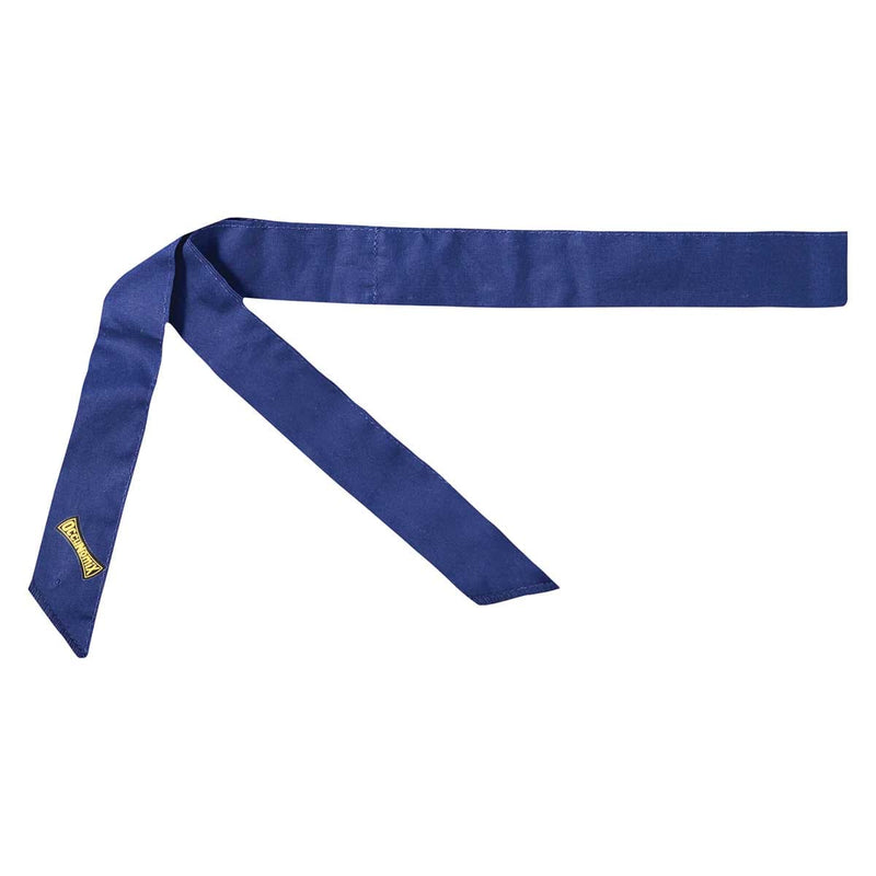 OccuNomix Miracool® Headband