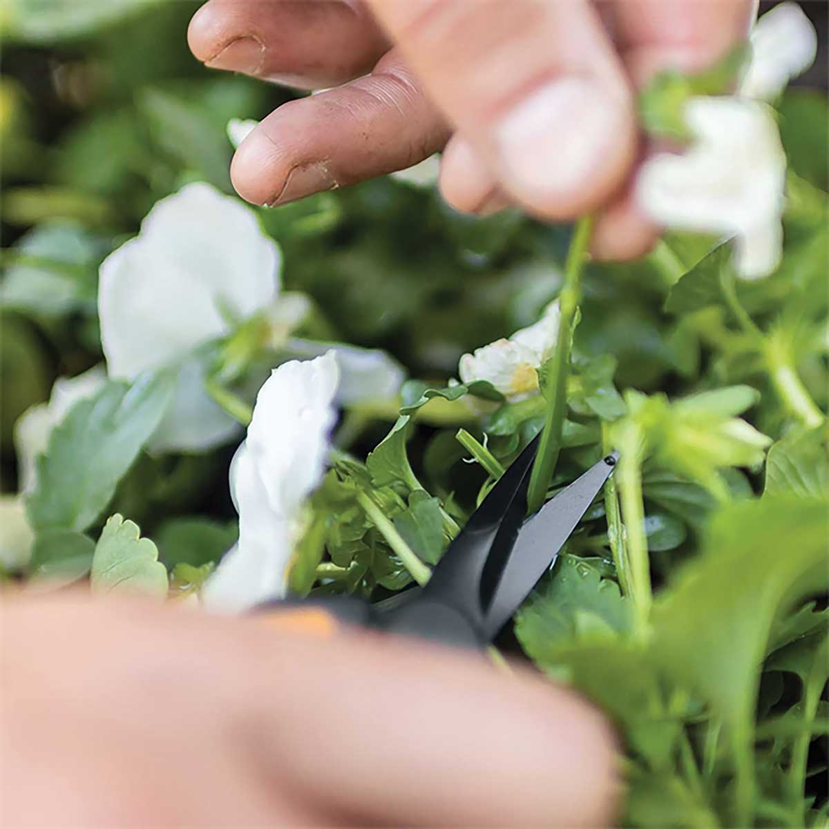 Fiskars® Non-stick Micro-Tip® Pruning Snips