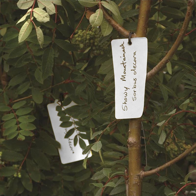 White Tyvek ID Tags In Use+++White Tyvek ID Tags In Use